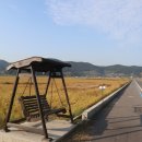 소라면 가사리 이미지