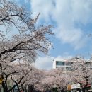 삼익탁구장