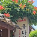 양을로 143번길 6 네이버블로그