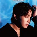 영앤드컴퍼니