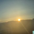 (주)천우 CM마트 | 2025년 임신 38주차 임산부 일상 / #씩씩이 #막달 #눕눕 #폭풍전야