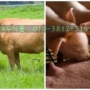 대우축산물 이미지