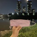 알파메디아 이미지