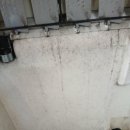 낭만당구장 이미지