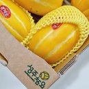 보화농장 이미지