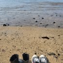 썬시티게스트하우스 이미지