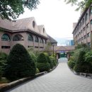 대일외국어고등학교 네이버블로그