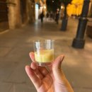🇪🇸 스페인_ 세비야, 바르셀로나
