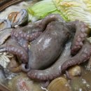명송오리