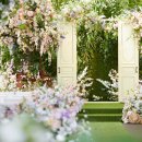 아모르하우스 이미지