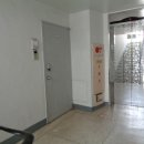 사파동239 이미지