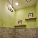 미래동물의료센터 이미지