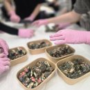 광산구보건소 | 광주광역시 광산구보건소 한방힐링프로그램 쑥을 활용한 디저트만들기