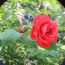 우장산동 이미지