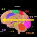 공부의욕, 아이의 사춘기를 대비하는 힘 이미지