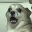 공감취미 타로(강좌번호 : 4 ) | 내돈내산)살면서 신점 두 번 본 후기 (서울신점,용한 점집,소름썰,돈 버린 썰,구체적인 점사 후기)