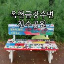나라마켓 | 충북 옥천 가볼만한곳 향수옥천 유채꽃 축제 옥천금강수변 친수공원 주차 정보 방문 후기