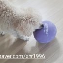 살롱 드 따따 이미지