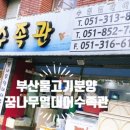 꿈나무 열대어 이미지