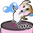 잇츄