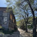 탁영정 | [강화도] 탁영정찜질방 - 아늑하고 평화로워 🌳