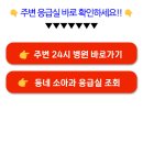 인천 옹진군 휴일 야간에 문 여는 병원 근처 응급실 내 주변 야간진료 소아과 찾기 이미지
