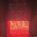 꽃피우다 이미지