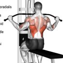 짐 다운 GYM 이미지