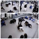 정권멀티짐 이미지