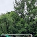 한바람이 이미지