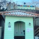 도그다움 이미지