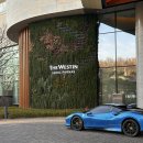 현대옥사우나 | 웨스틴 서울 파르나스 호텔, 조식, 수영장 호캉스 이용 후기