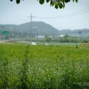 국망봉자연휴양림 이미지