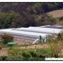 이삼구농장 이미지