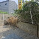한전울타리 옆(아래) | 파손된 공장 외곽 울타리 철거 및 메쉬펜스 재시공 과정
