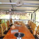 바위집염소 이미지