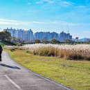 하천(갑천5) | 대전 3대 하천에서 즐기는 힐링 러닝