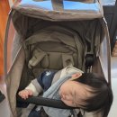 한옥마을로(북) | 전주 한옥마을 돌스냅 YS스냅 겨울 촬영 후기!