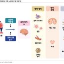 SI BIO | [Report] 제약바이오 - MASH, 뇌질환, ADC