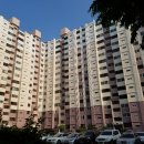 덕진-133 이미지