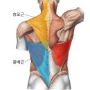 세븐일레븐 일산고양체육관점 | 일산재활PT 목디스크재활 어깨재활 목통증재활 어깨통증재활 일산재활운동