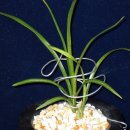 올젠테크놀로지 이미지