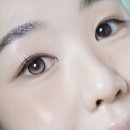 그레이13 | 축고정렌즈 추천 렌블링 샤이링 초코 브라운 그레이 13mm 비교후기