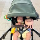 (주)잼마루 네이버블로그