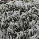 구의공원-1 이미지