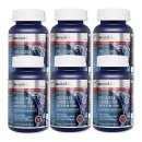 해조하우스 이미지