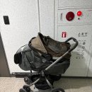연산새소망세탁 | 신생아 유모차 당근마켓 구매 리안스핀로얄 디럭스, 리안솔로 절충형