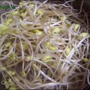 담날콩나물국밥 이미지