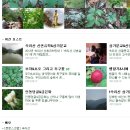 은혜네집 이미지