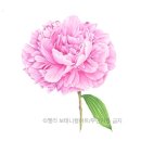 수채화(일요일반) 이미지